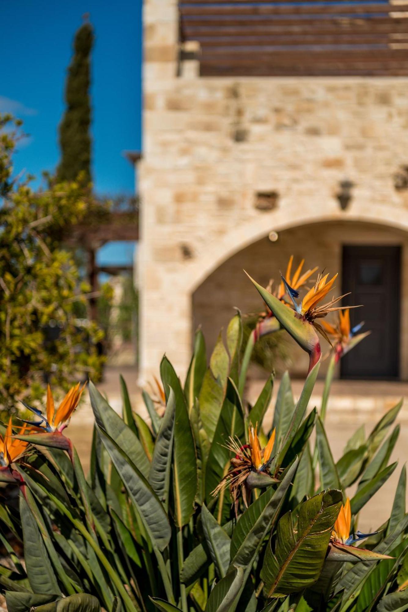 Villa Gloria Seaview - Luxury & Family Kokkino Chorio Exterior foto